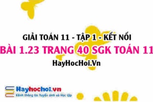 Giải bài 1.23 trang 40 Toán 11 tập 1 SGK Kết nối tri thức